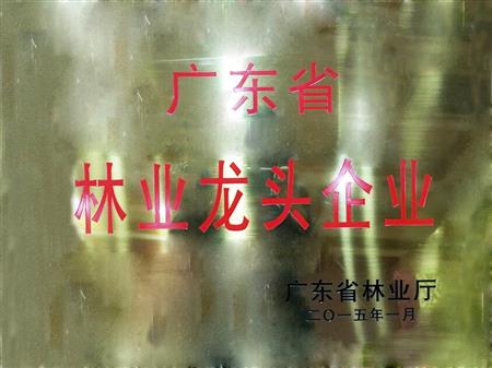    	         	2015年1月，紅古軒當選為“廣東省林業(yè)龍頭企業(yè)”   