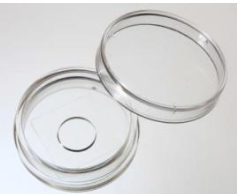 35mm 玻底培養(yǎng)皿，激光共聚焦專用培養(yǎng)皿