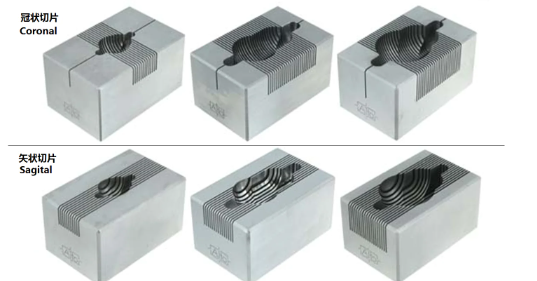 腦模具150-300G大鼠，冠狀，1MM