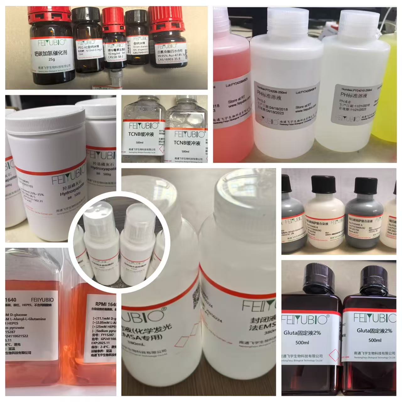 堿性磷酸酶10u/mg(牛腸粘膜)