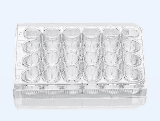 超低吸附24孔細胞培養(yǎng)板