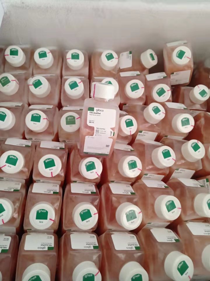 DMEM/高糖(含高糖、L-谷氨酰胺、酚紅，不含丙酮酸鈉、HEPES、磷酸鹽)產(chǎn)品已下架